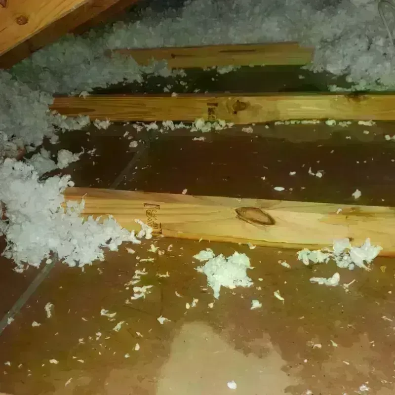 Attic Water Damage in Rolling Fork, MS